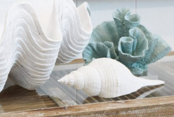 Potongan koral atau kerang dalam elemen dekoratif